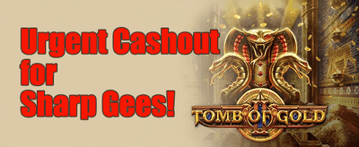Best Online Casino in Nigeria